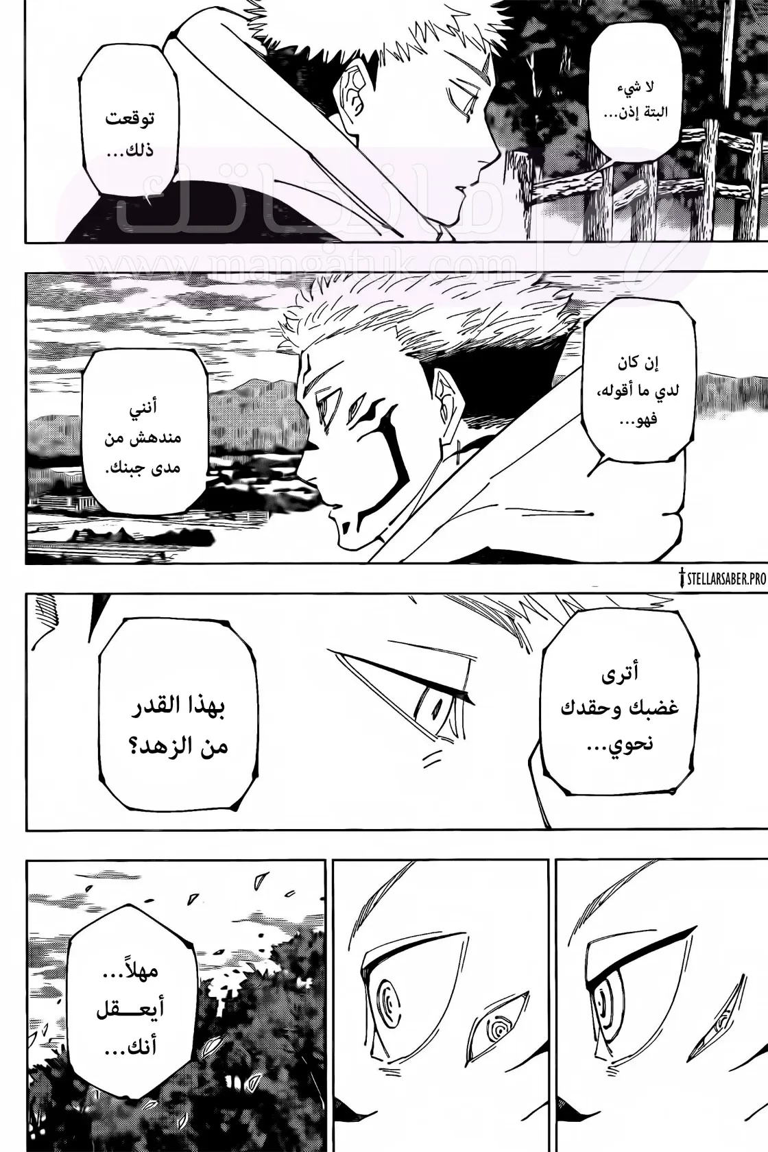 الصفحة 17