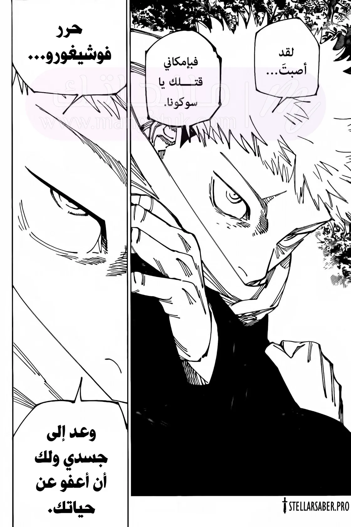 الصفحة 19
