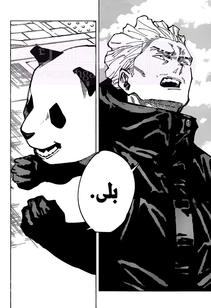 الصفحة 16