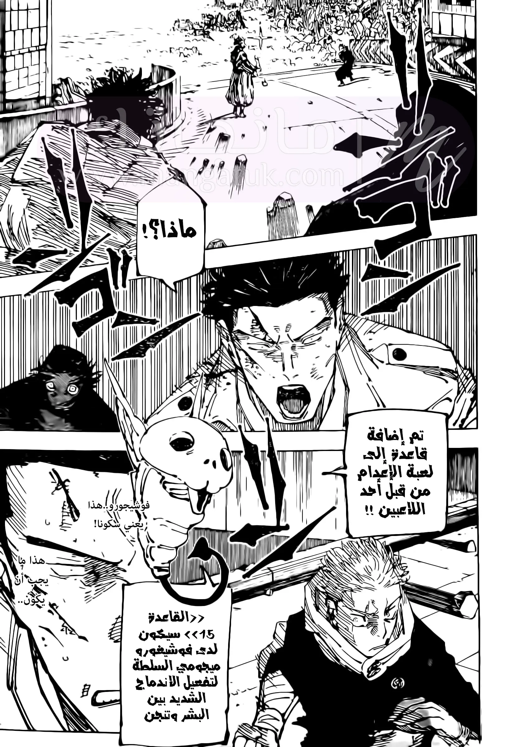 الصفحة 13