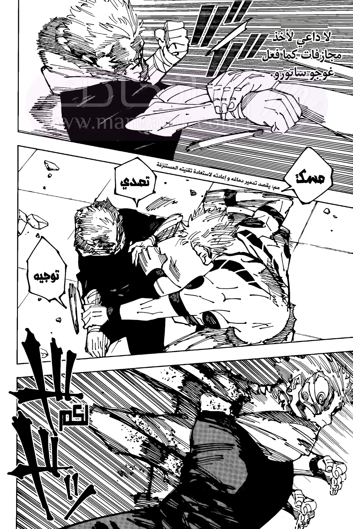الصفحة 13