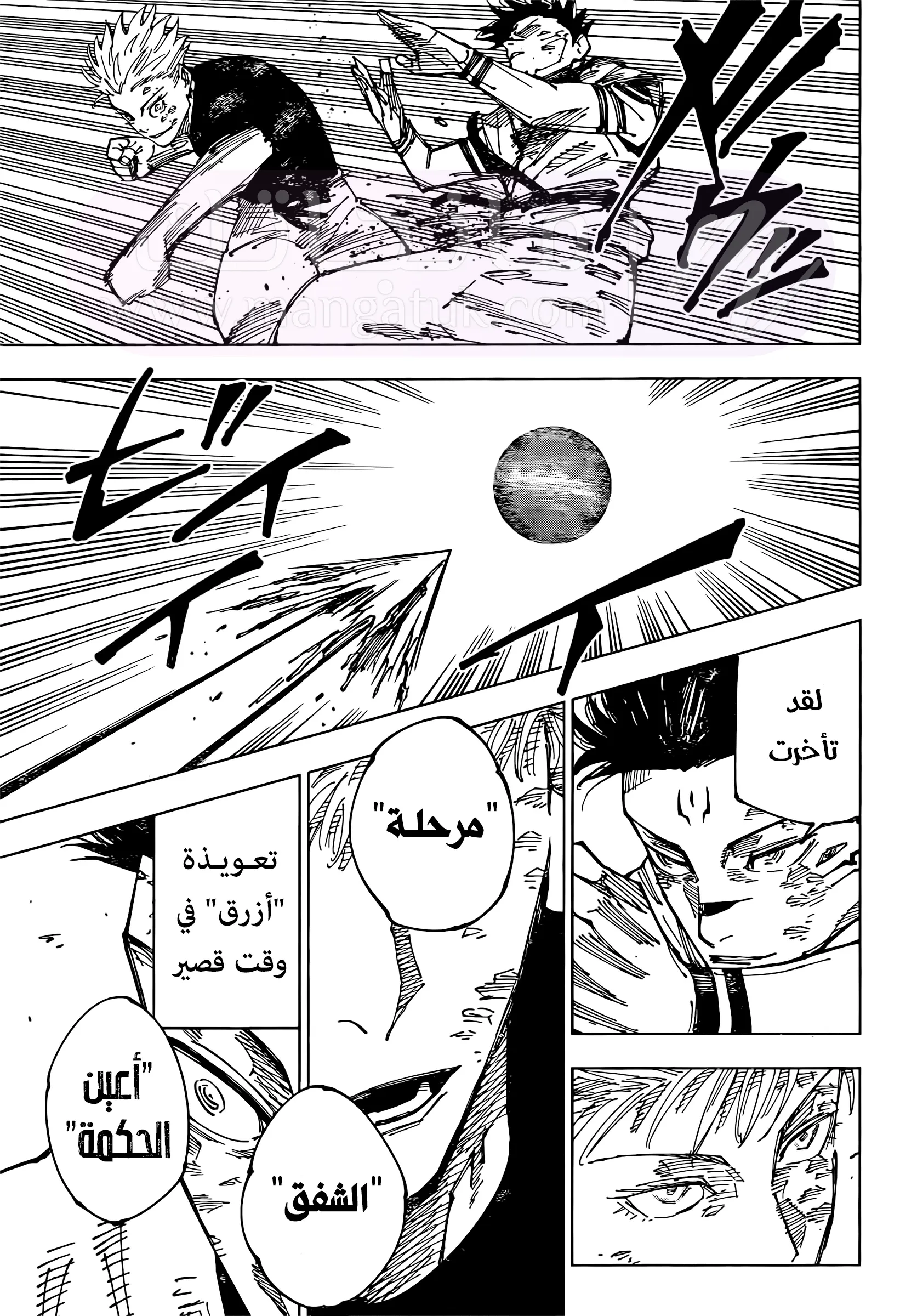 الصفحة 13