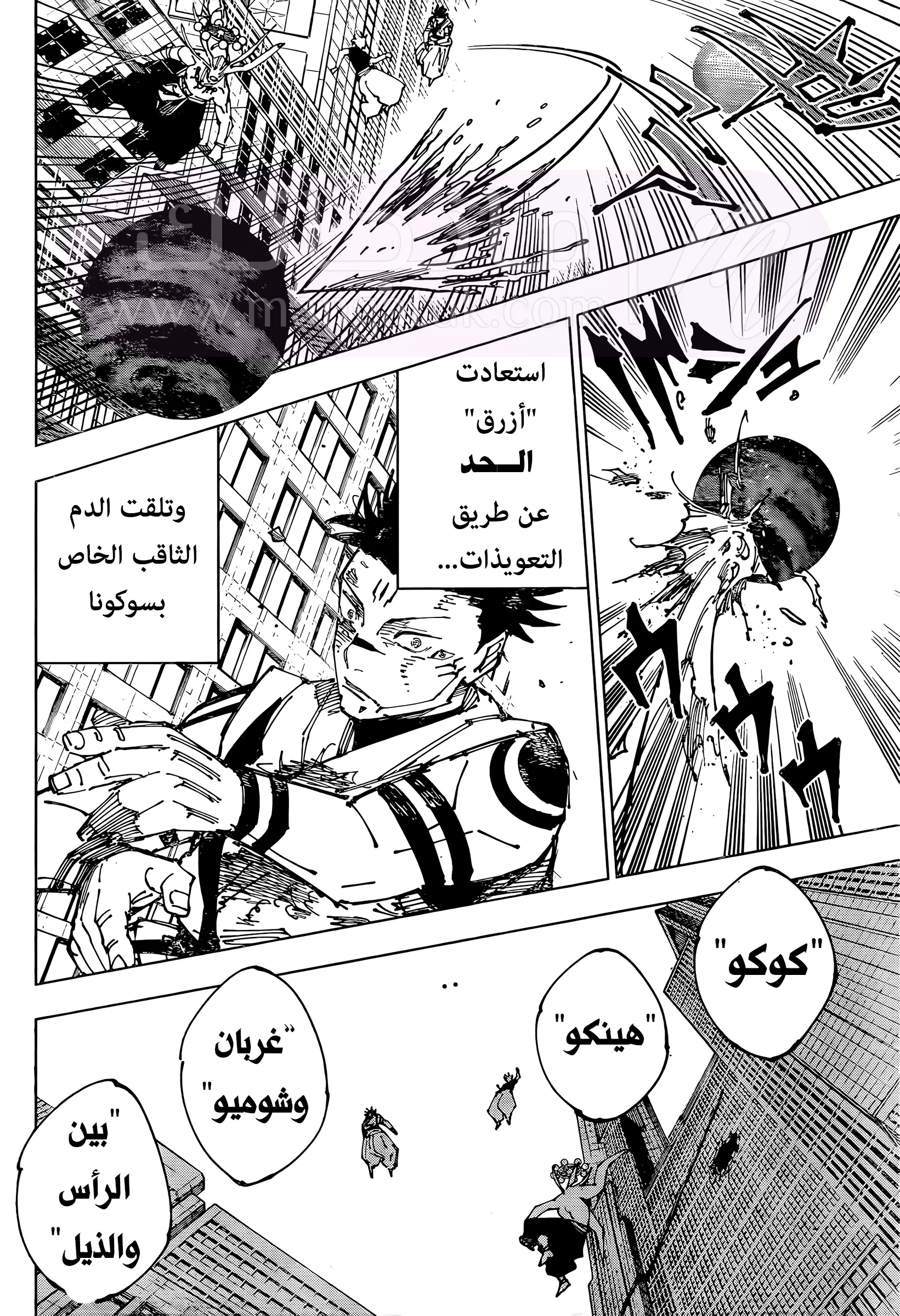 الصفحة 14