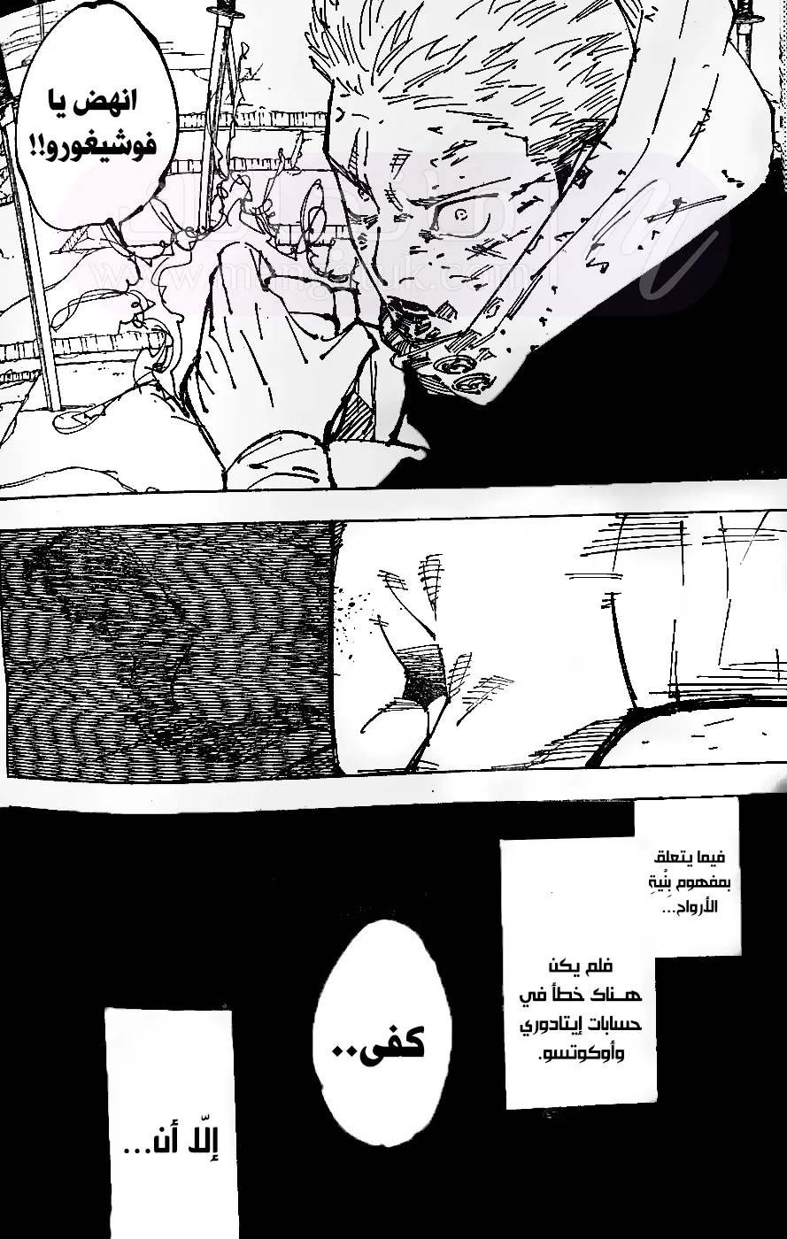 الصفحة 14