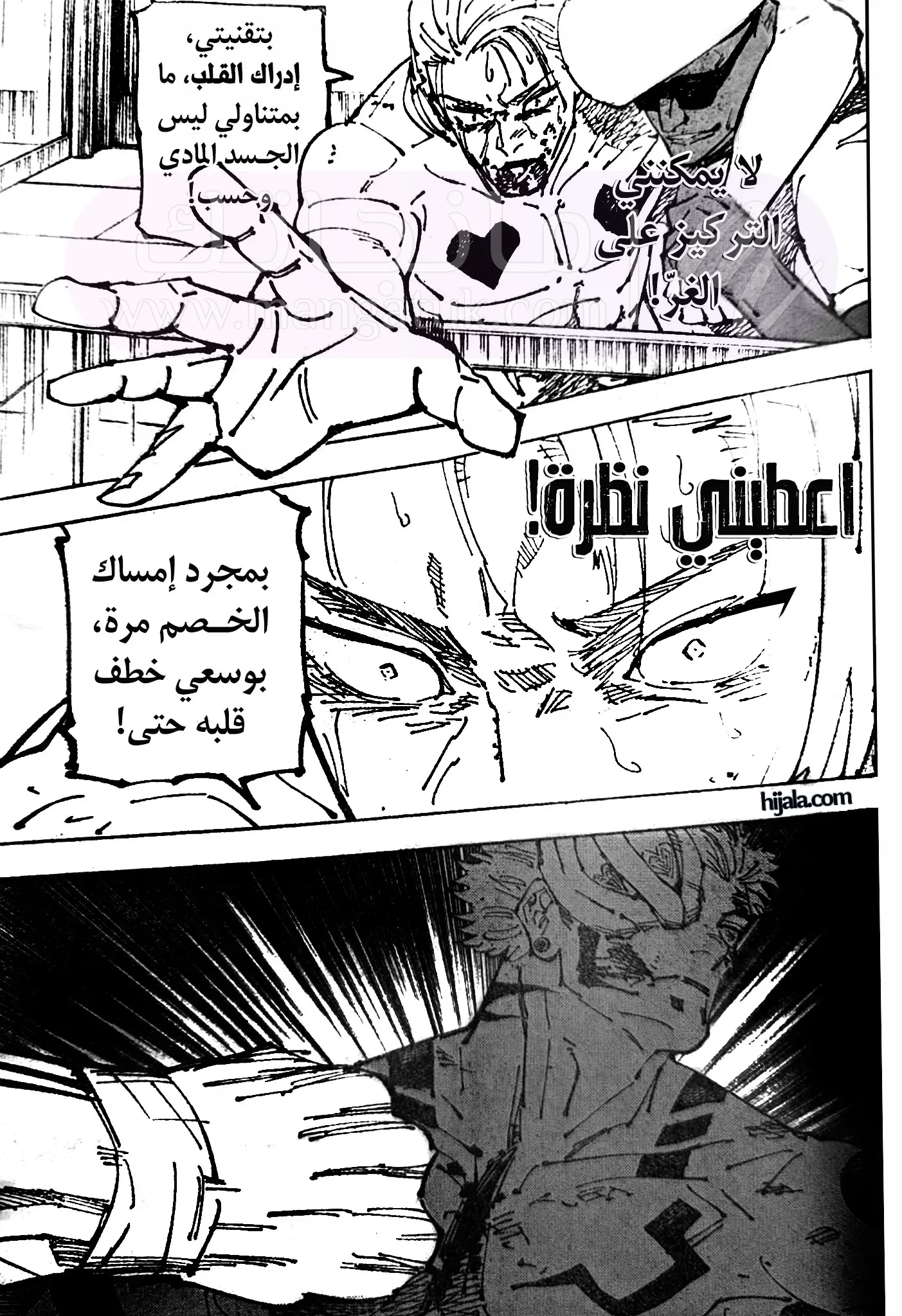 الصفحة 17
