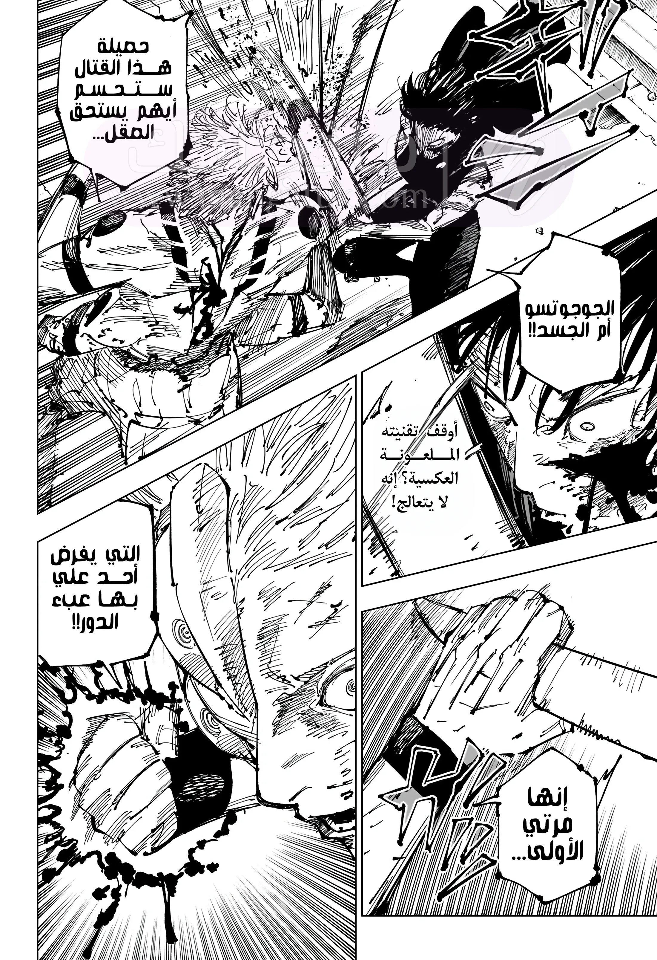 الصفحة 19