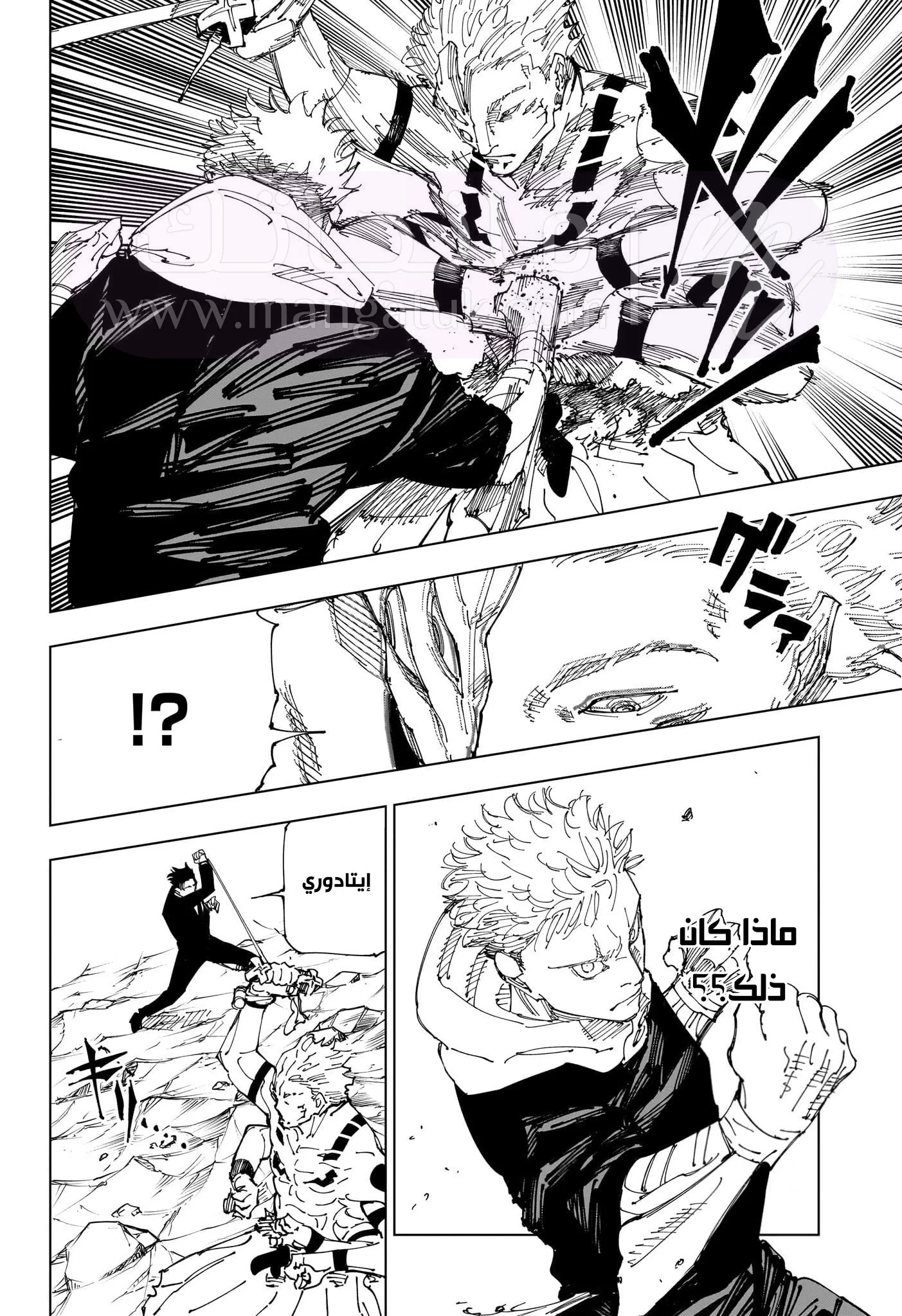 الصفحة 17