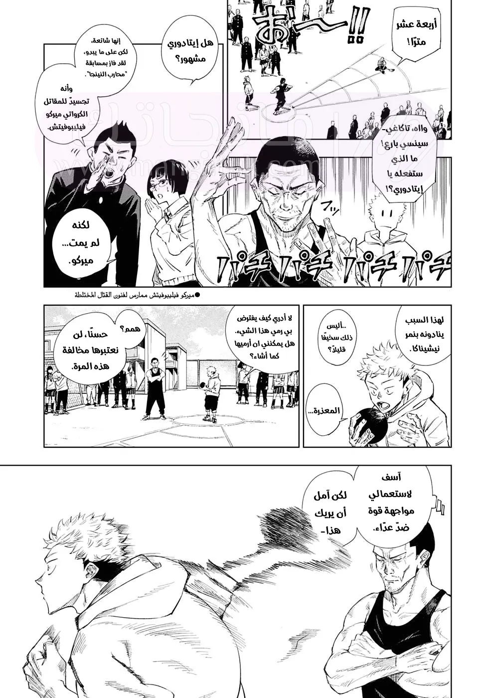الصفحة 13