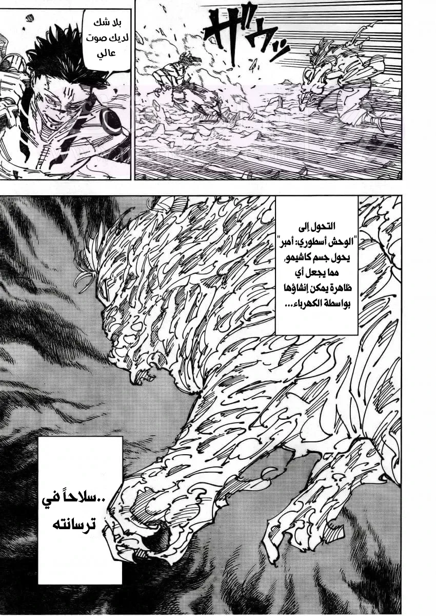 الصفحة 17