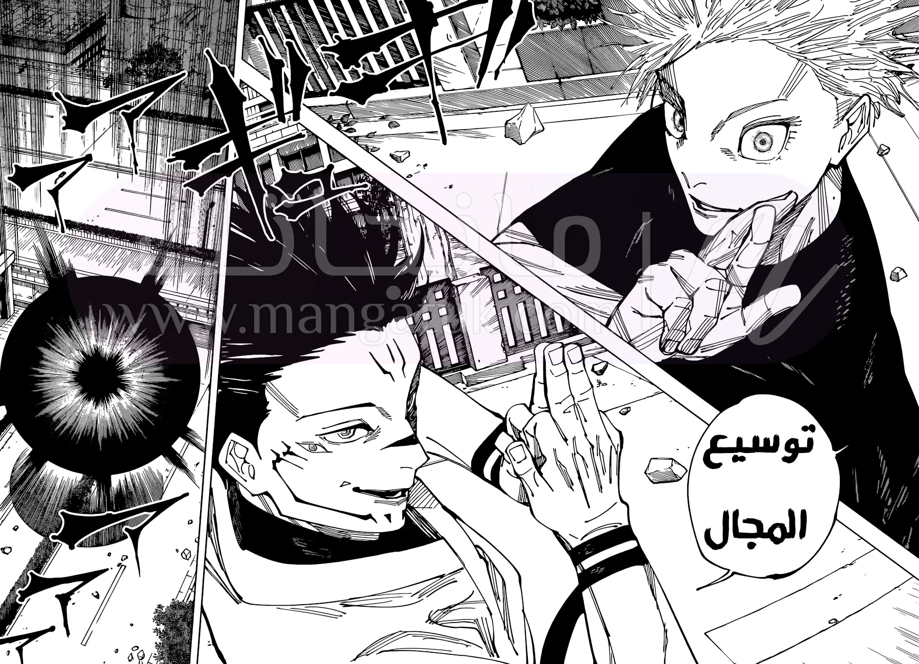 الصفحة 13