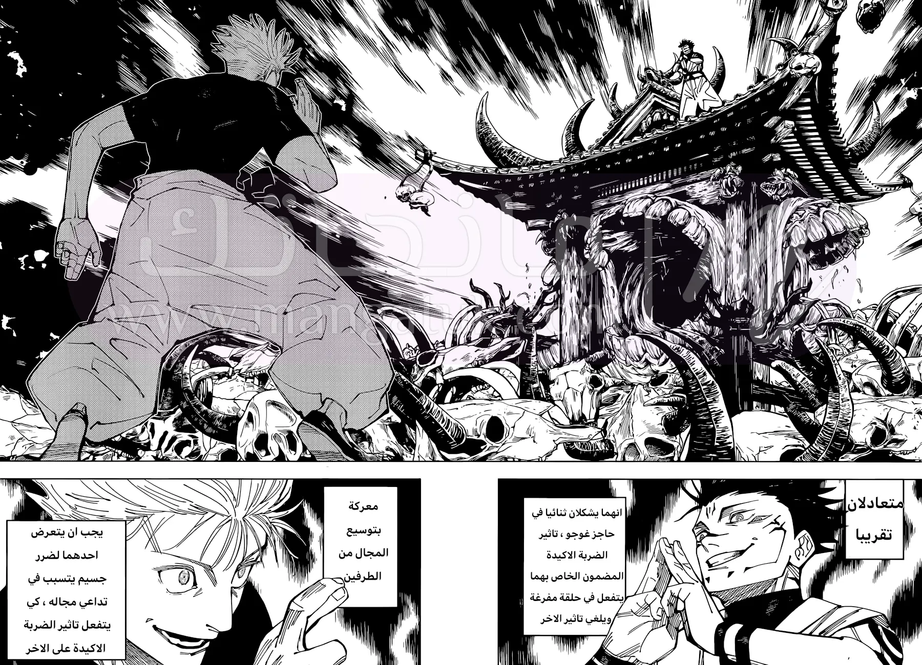 الصفحة 14