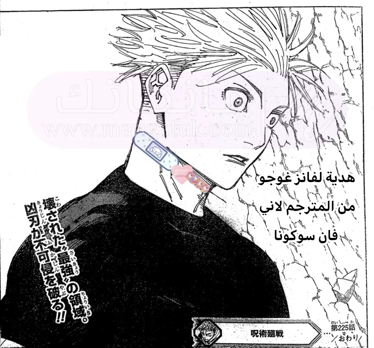 الصفحة 19