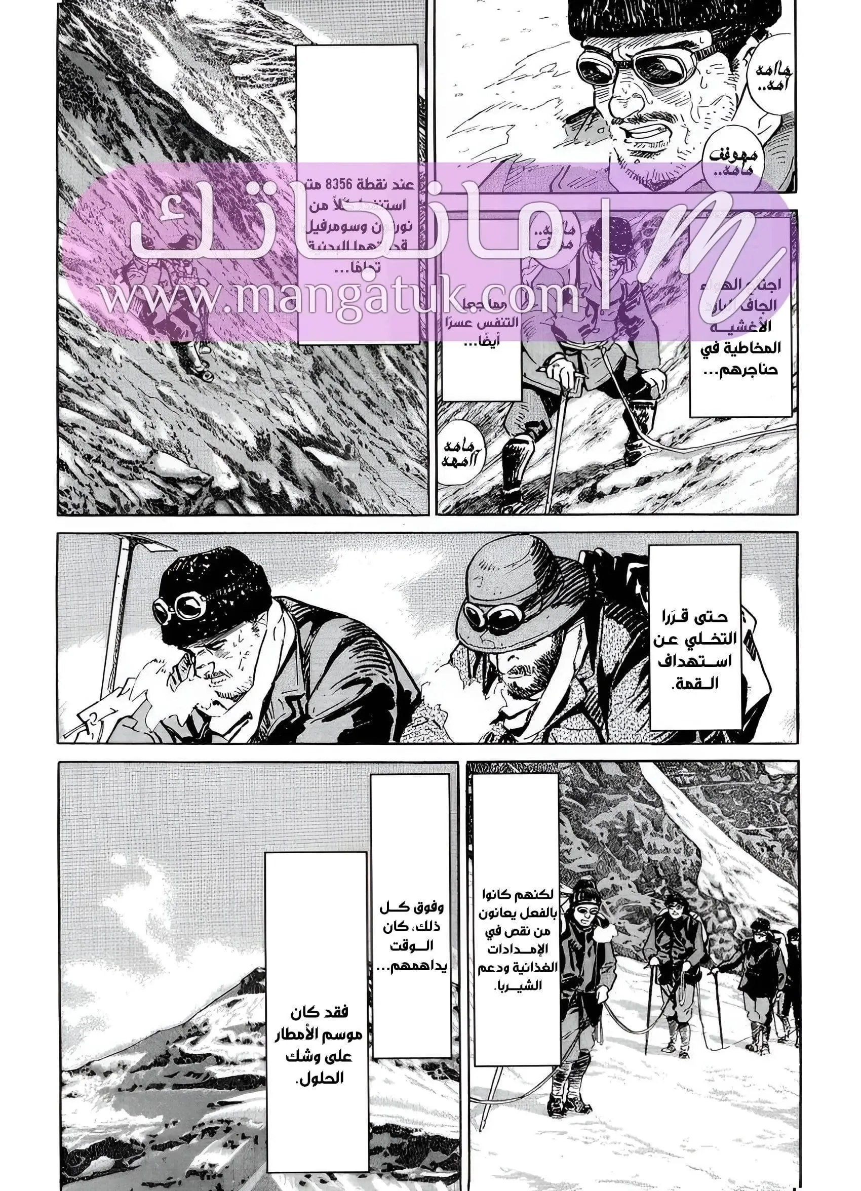 الصفحة 11