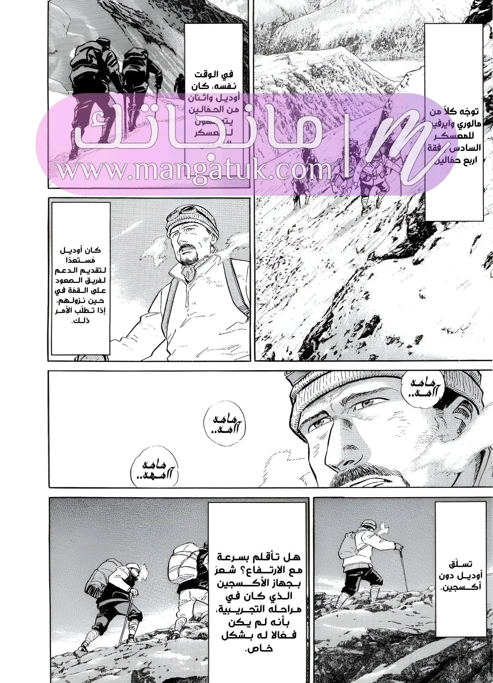 الصفحة 17