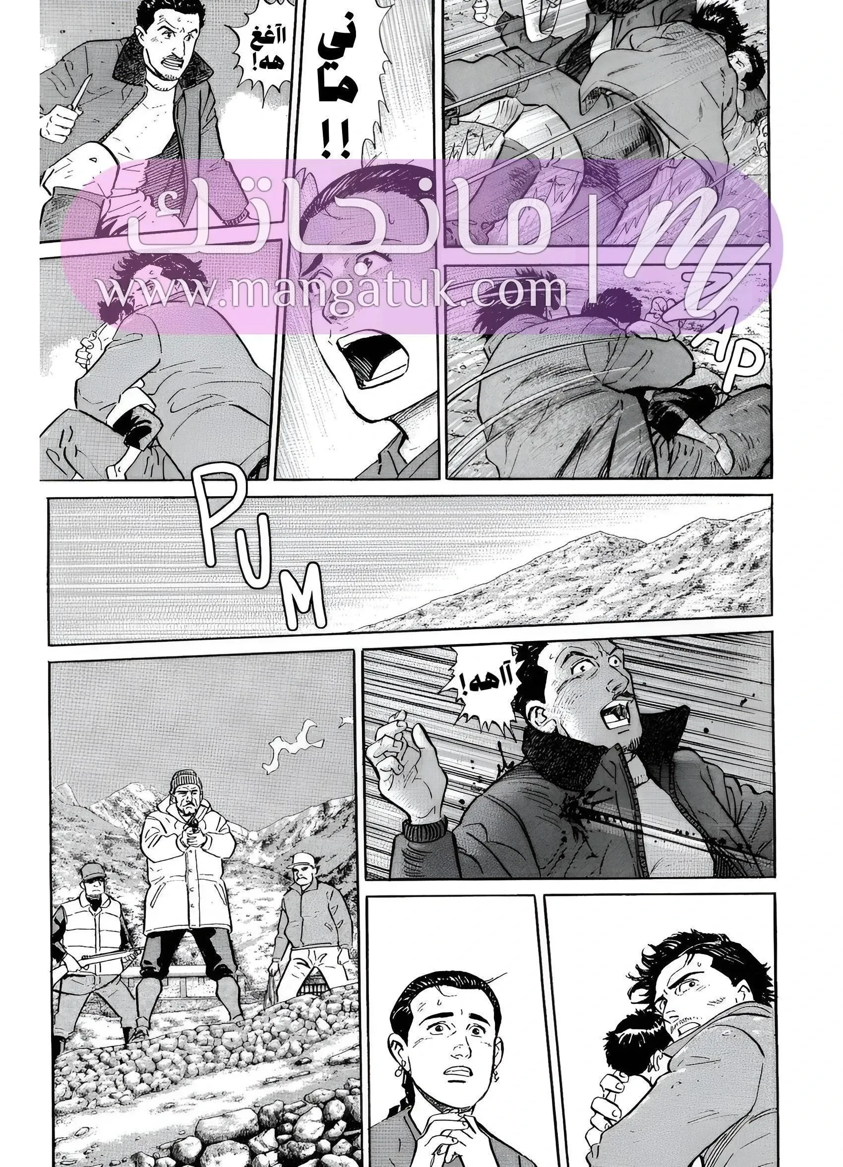 الصفحة 13