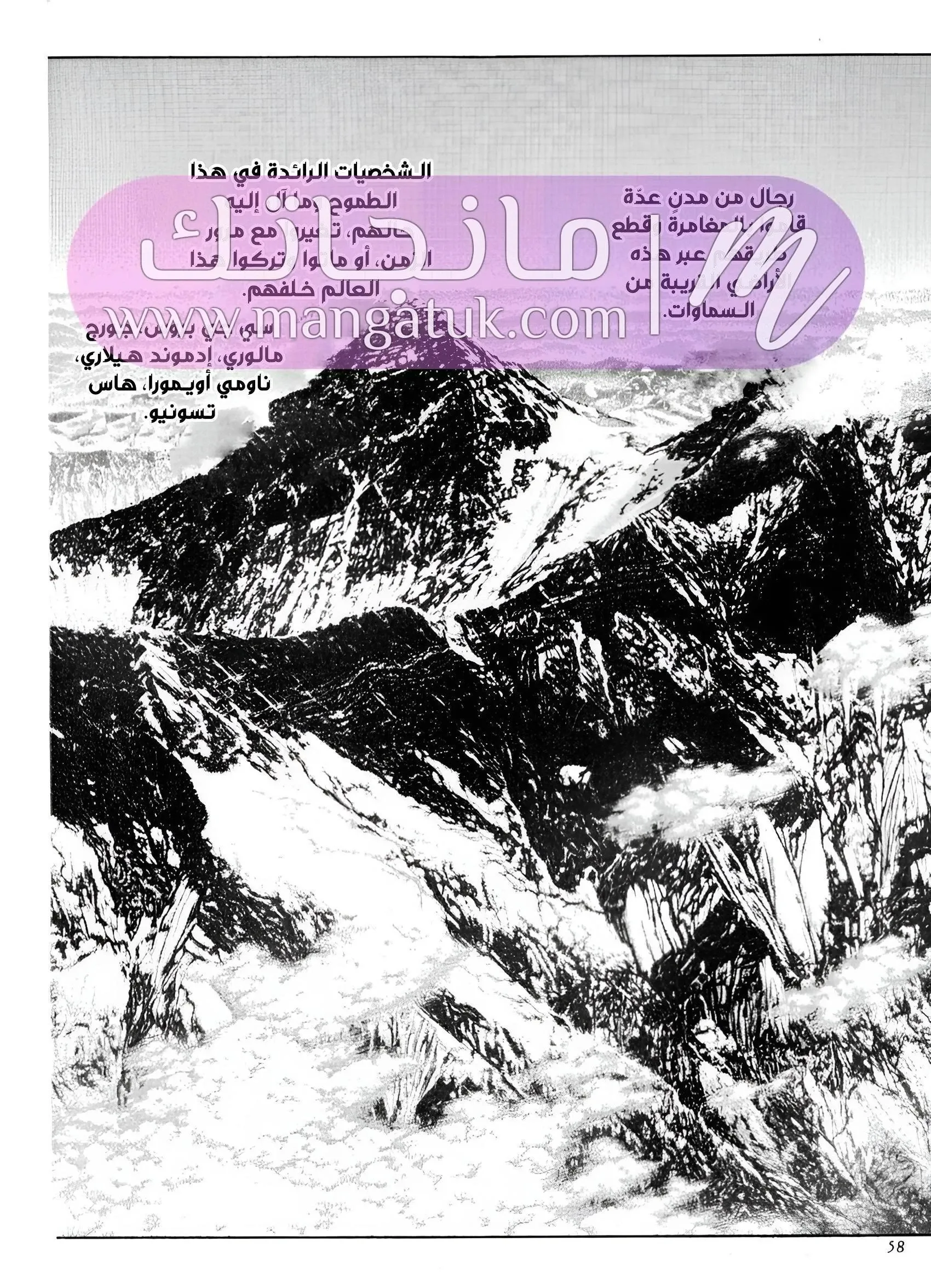 الصفحة 13