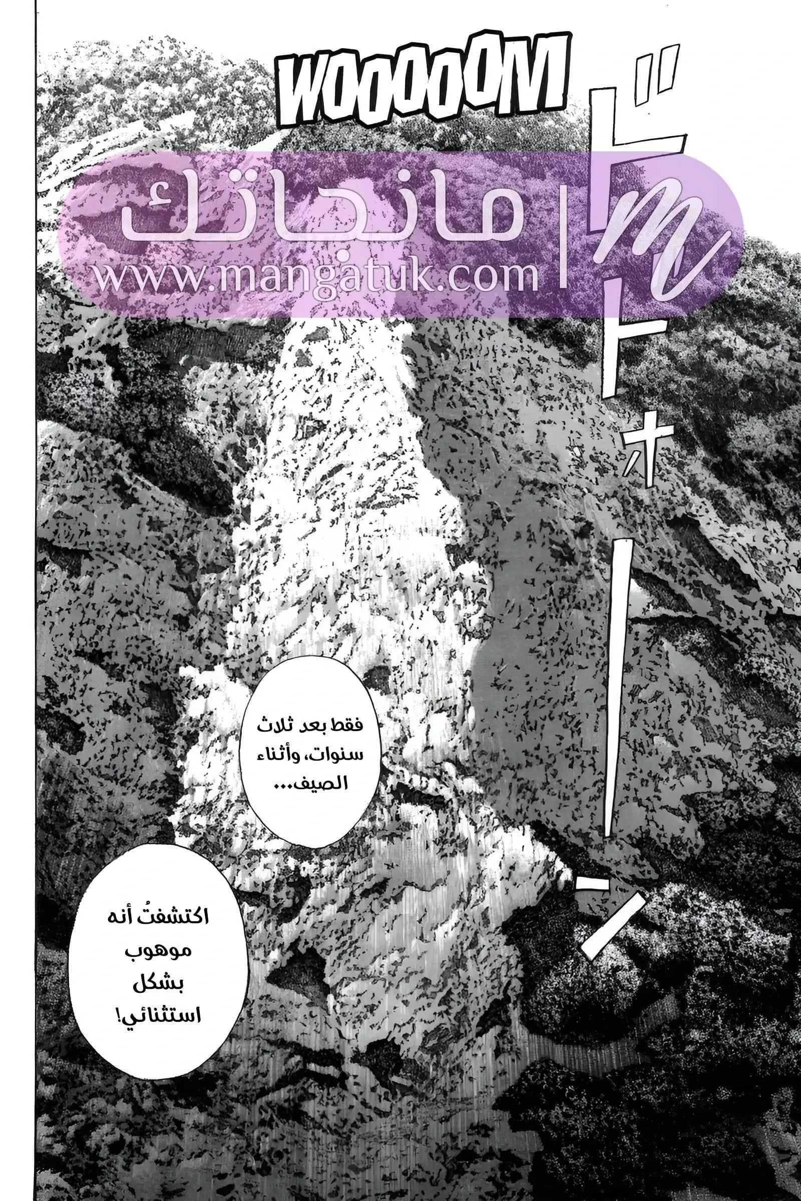 الصفحة 43