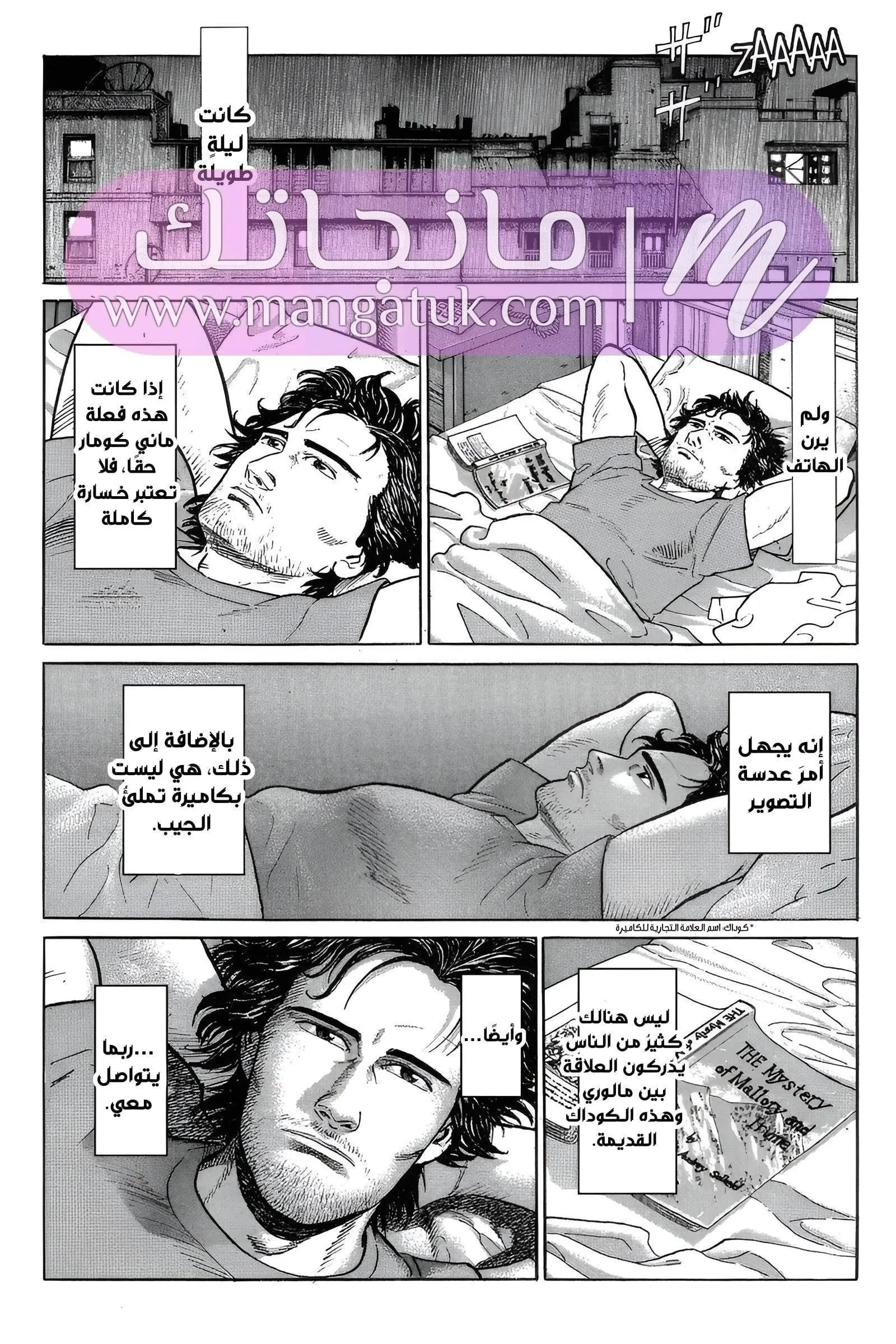 الصفحة 31