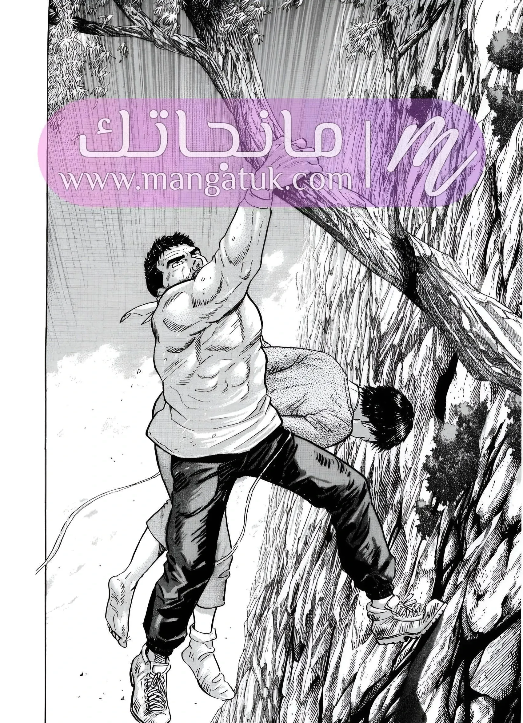 الصفحة 37