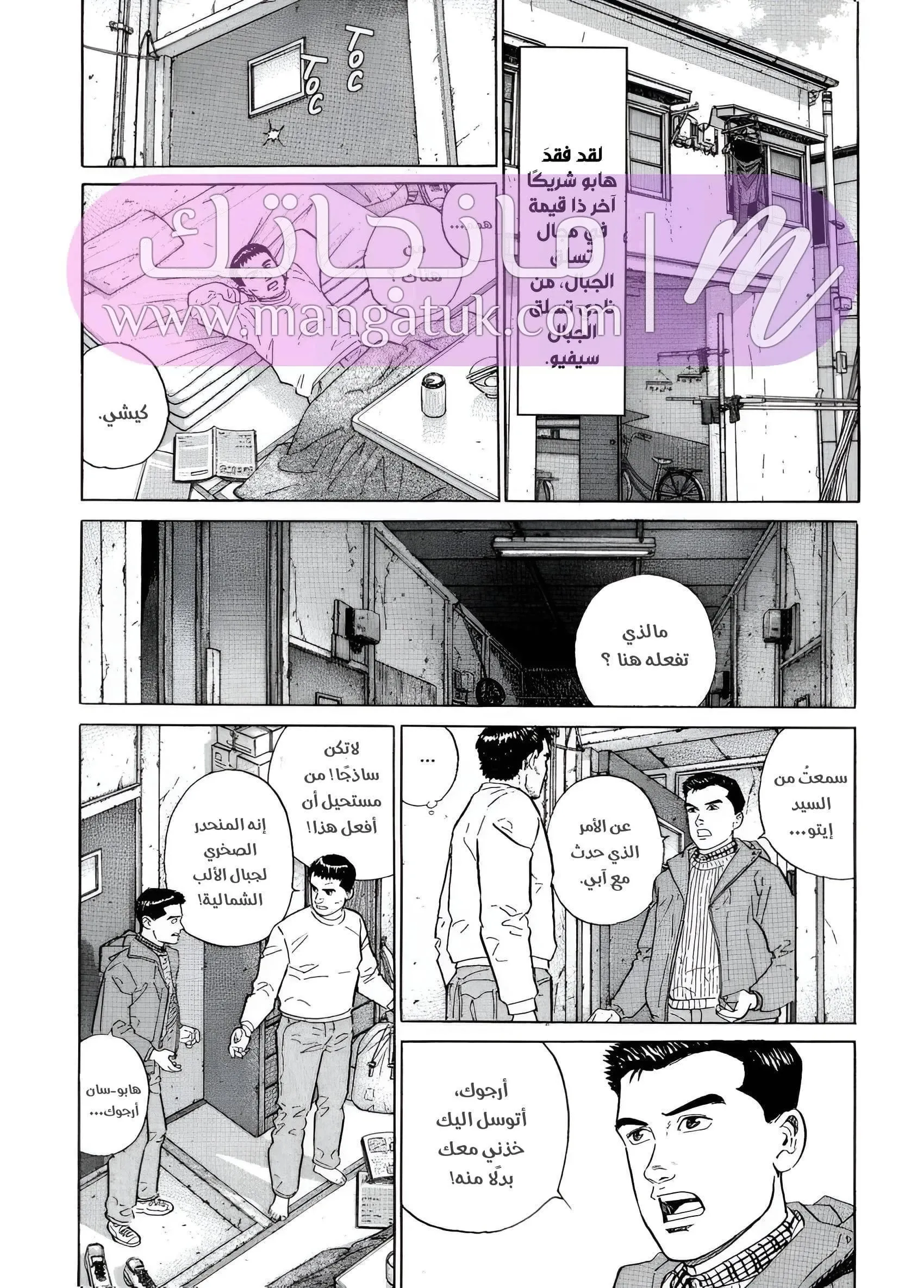 الصفحة 13