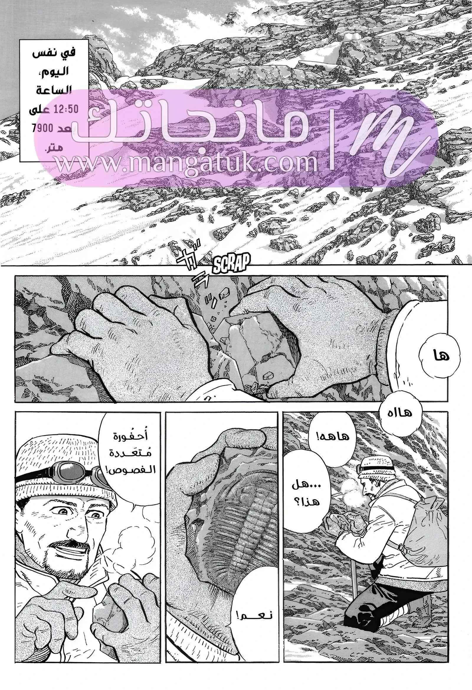 الصفحة 10