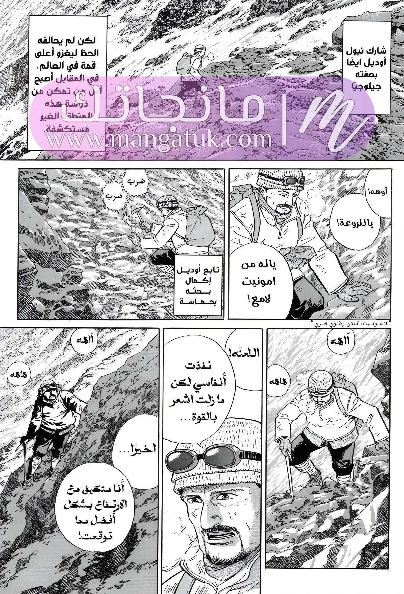 الصفحة 13
