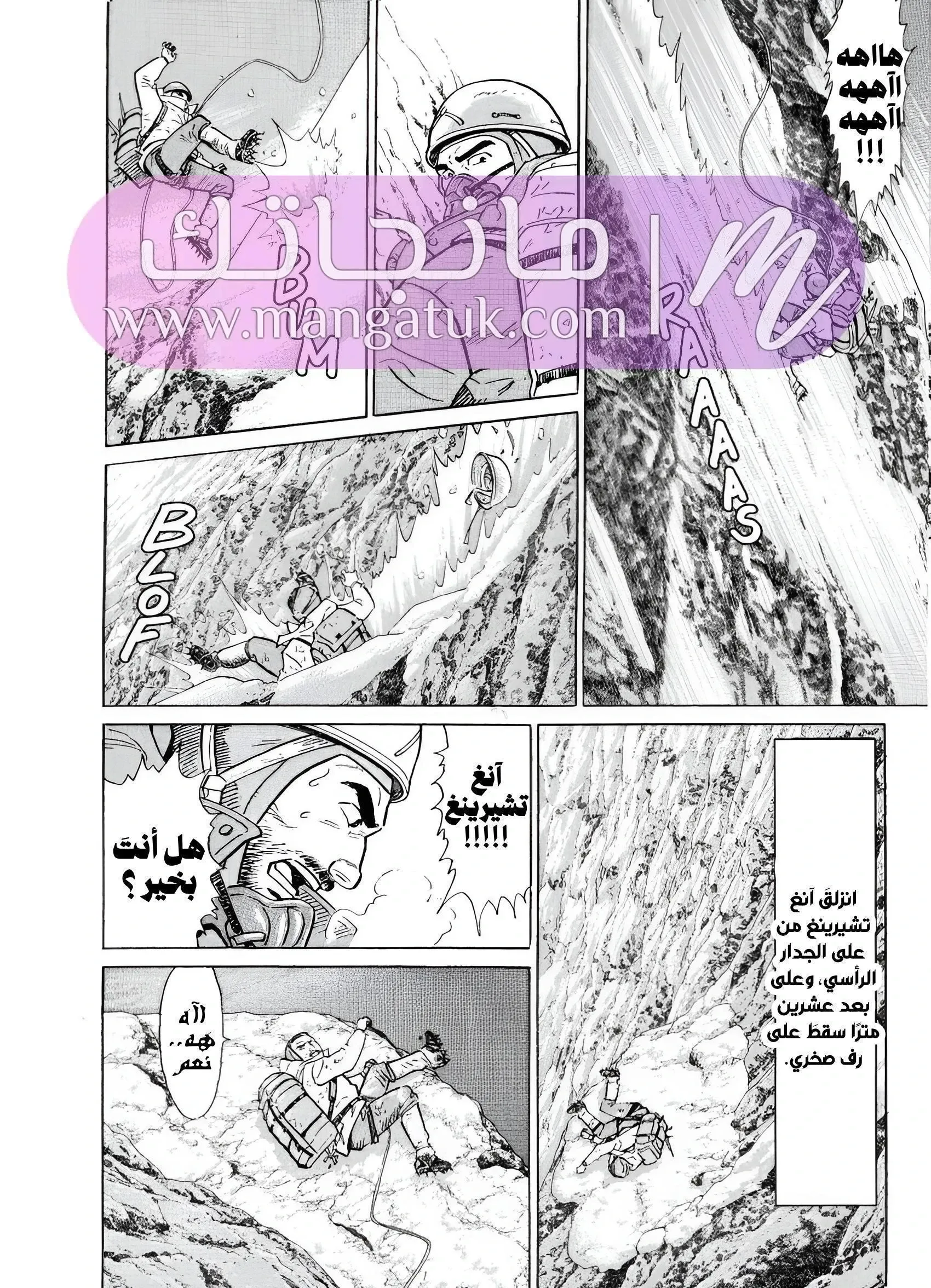 الصفحة 19