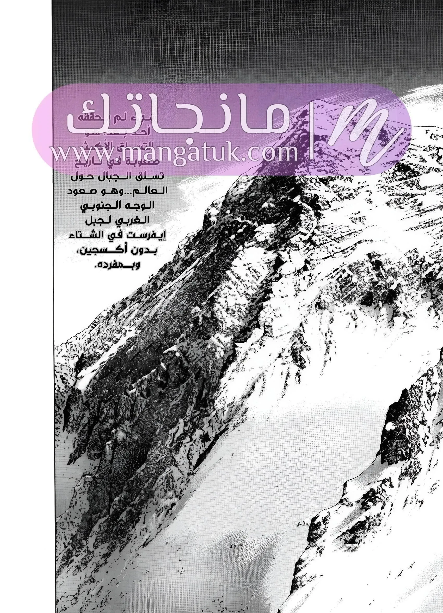 الصفحة 41