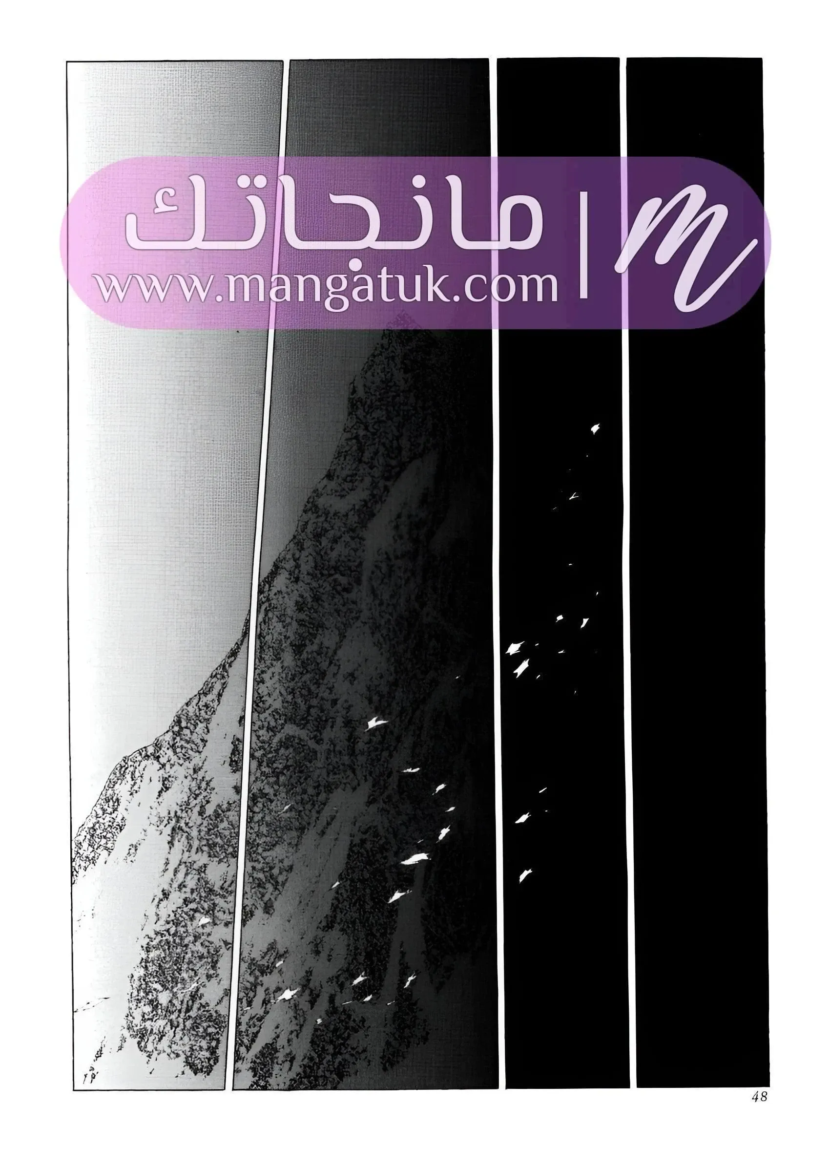 الصفحة 24