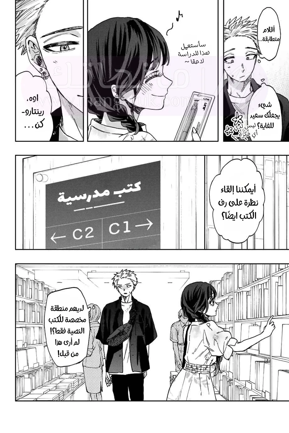 الصفحة 13
