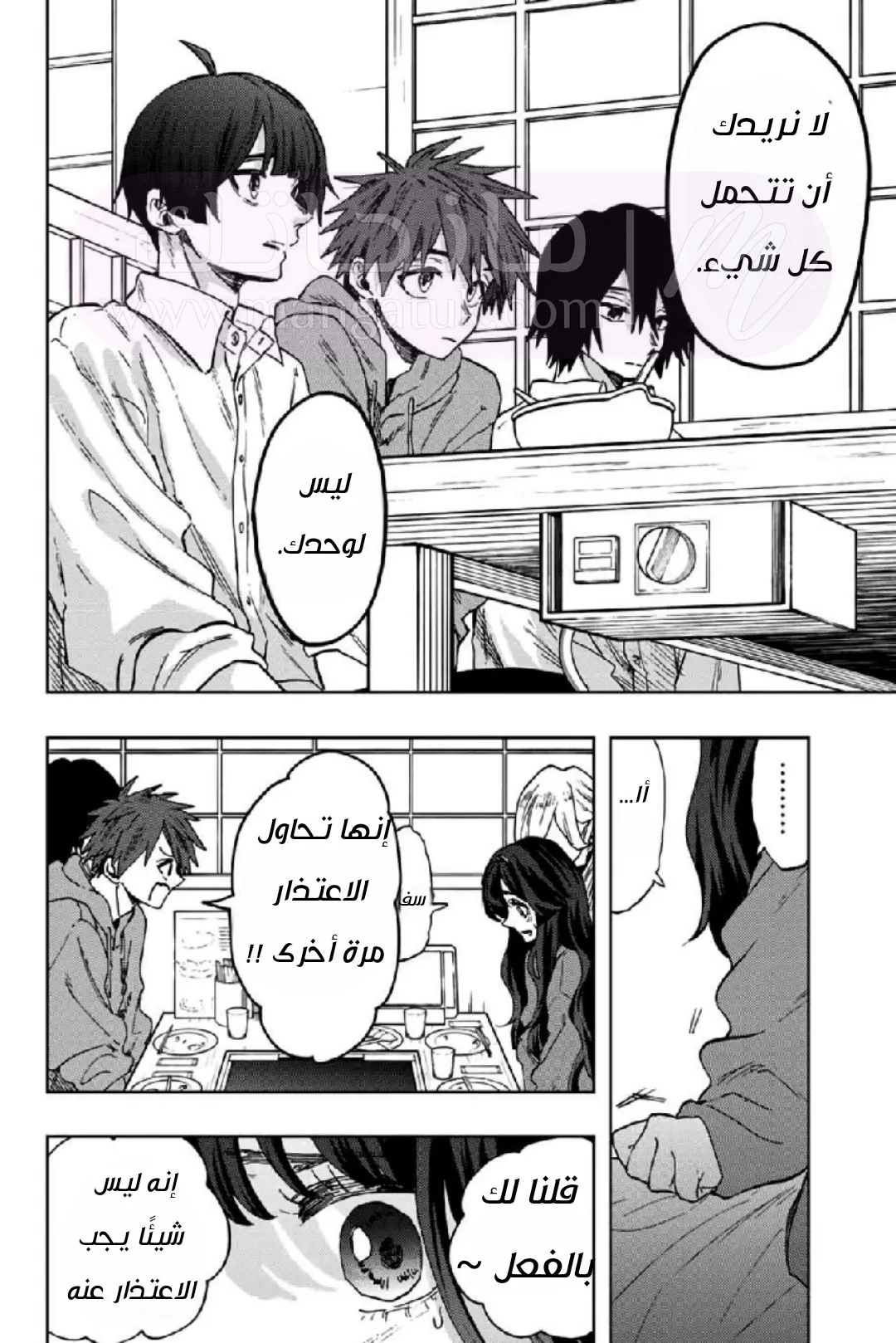 الصفحة 17