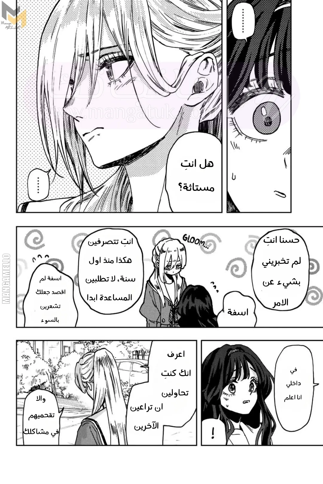 الصفحة 17