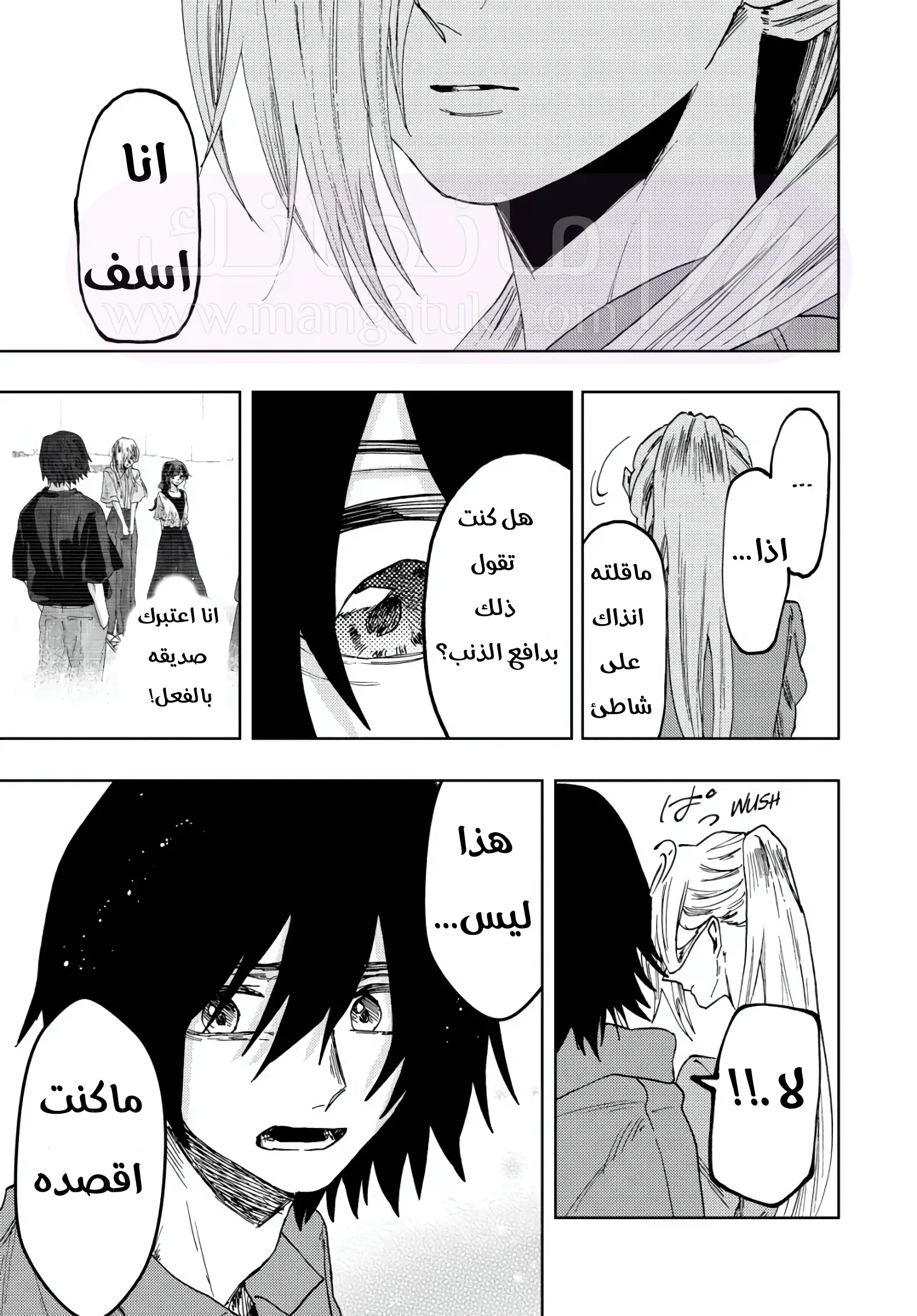 الصفحة 13