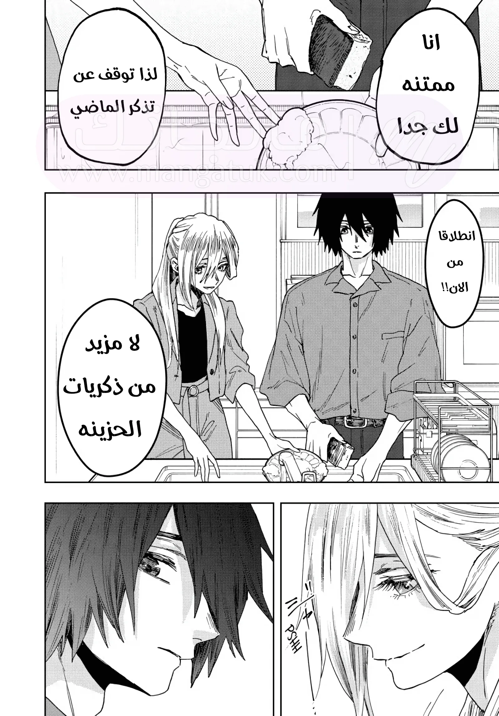 الصفحة 16