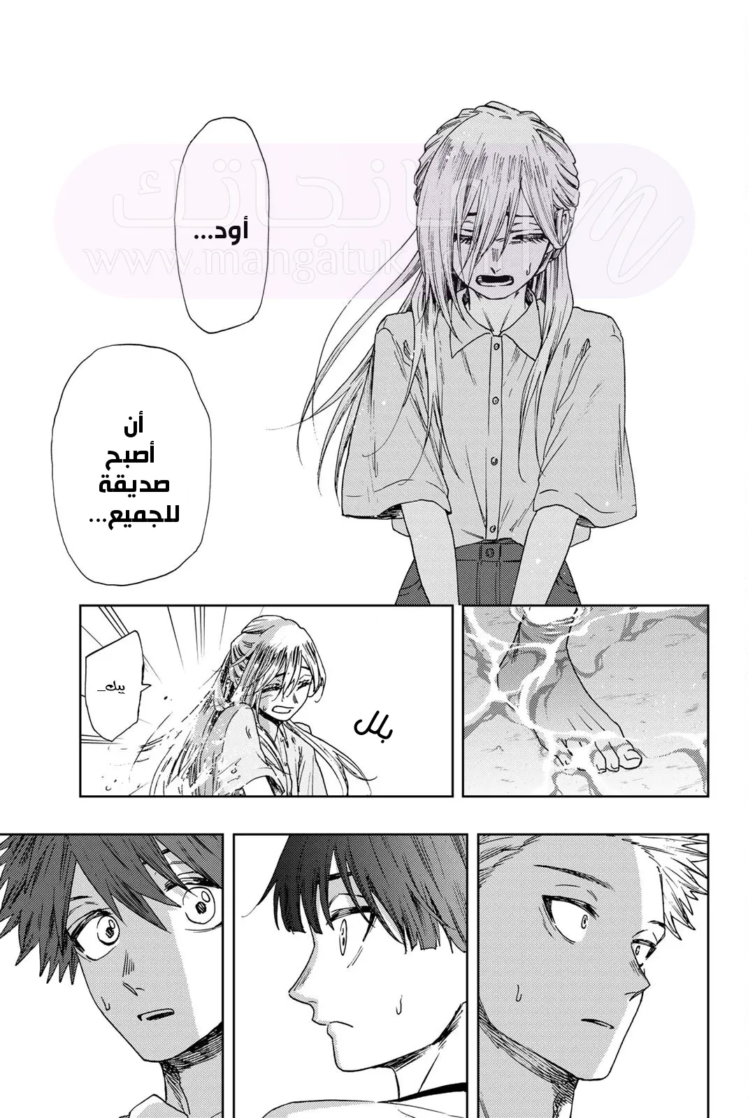 الصفحة 11