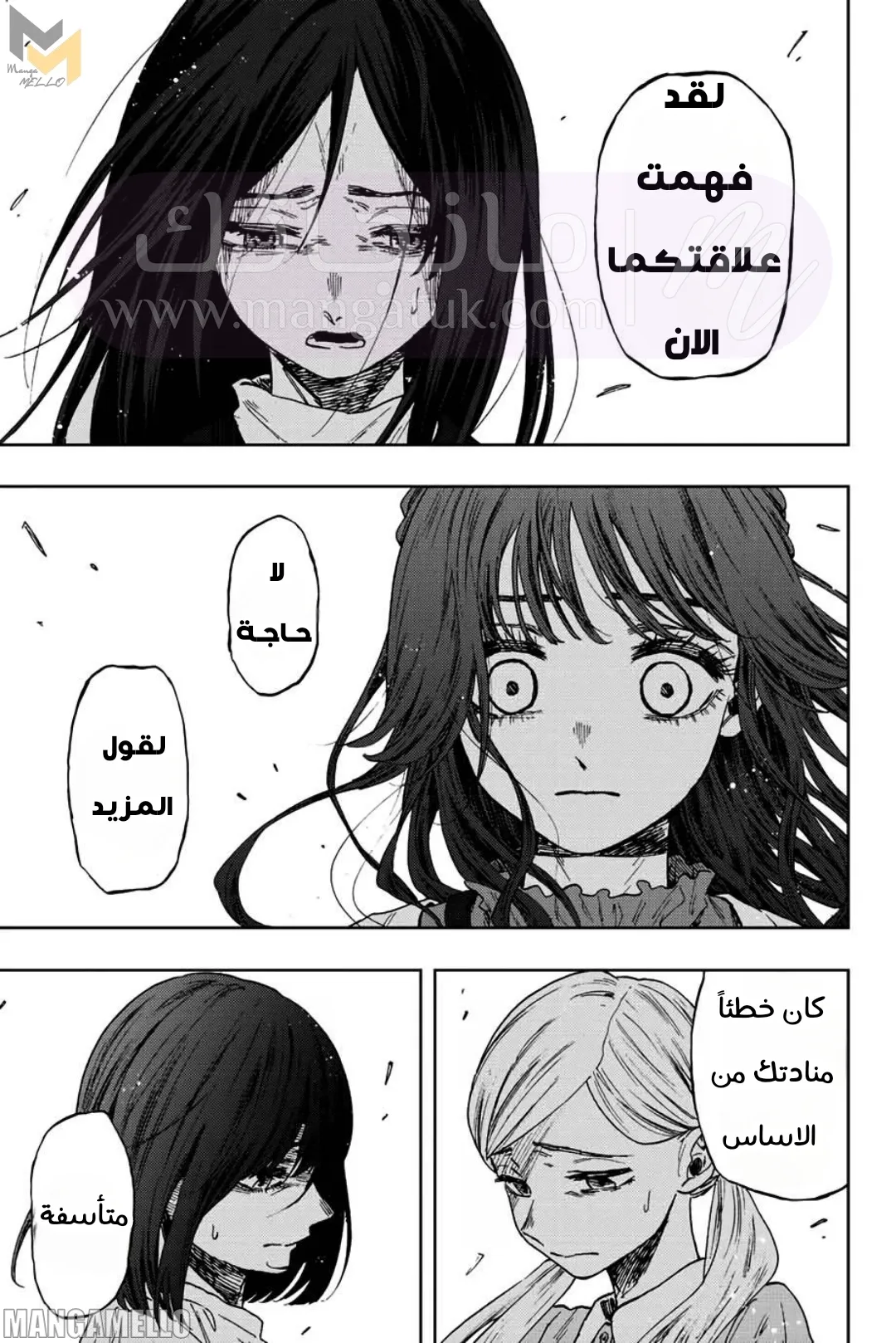 الصفحة 13