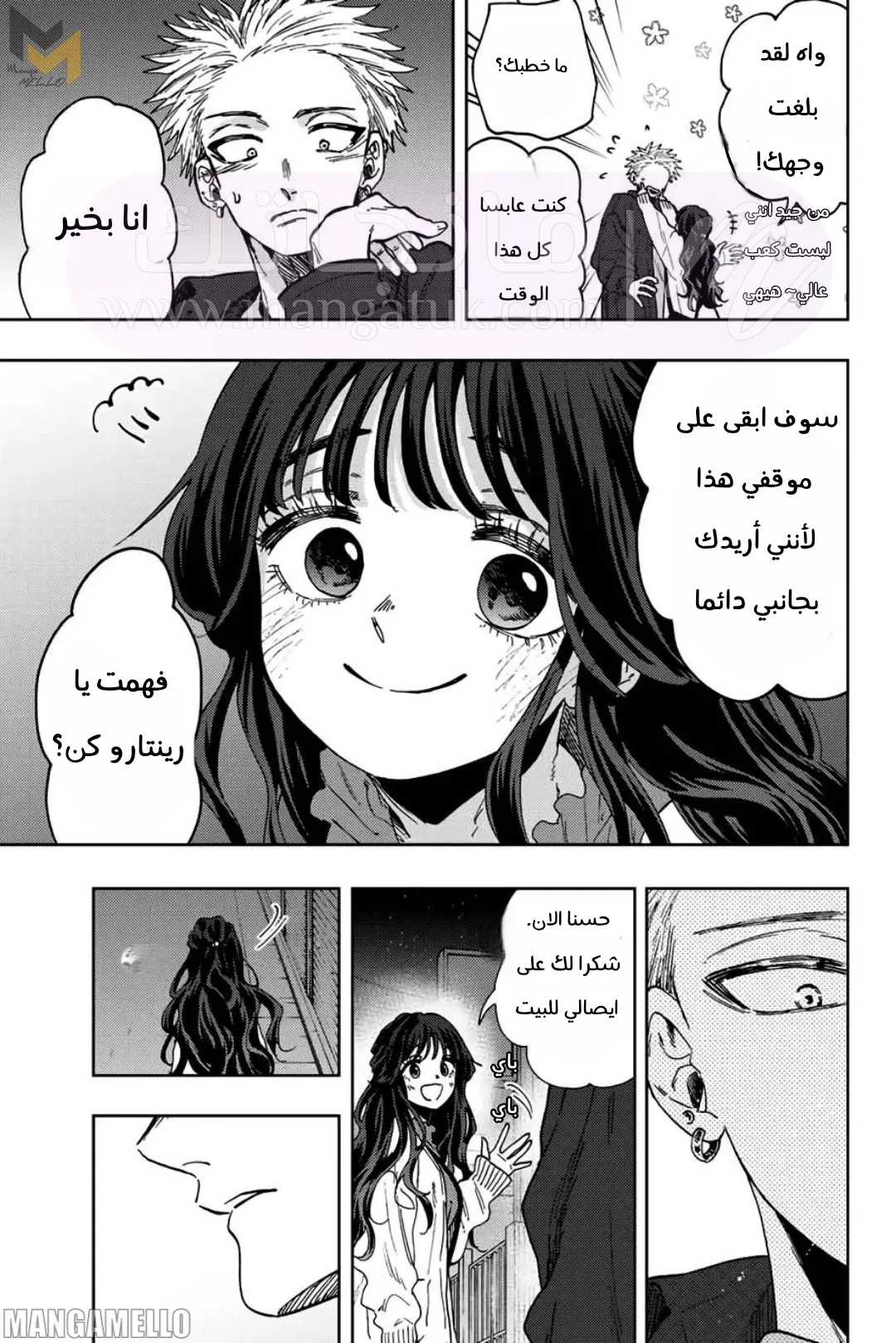 الصفحة 17
