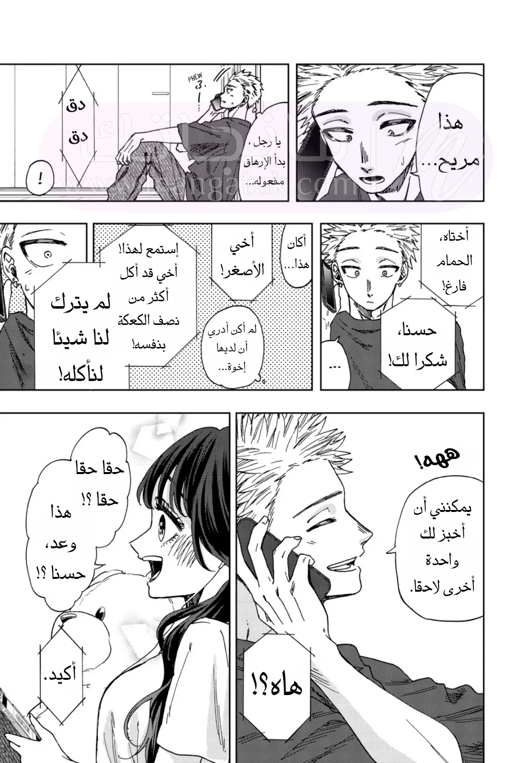 الصفحة 12