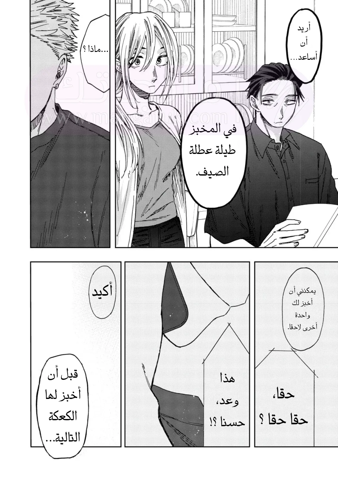 الصفحة 17