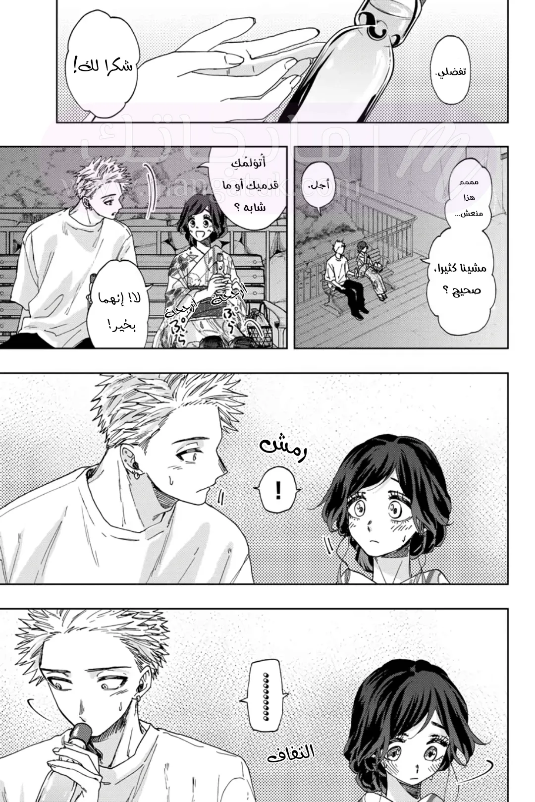 الصفحة 11