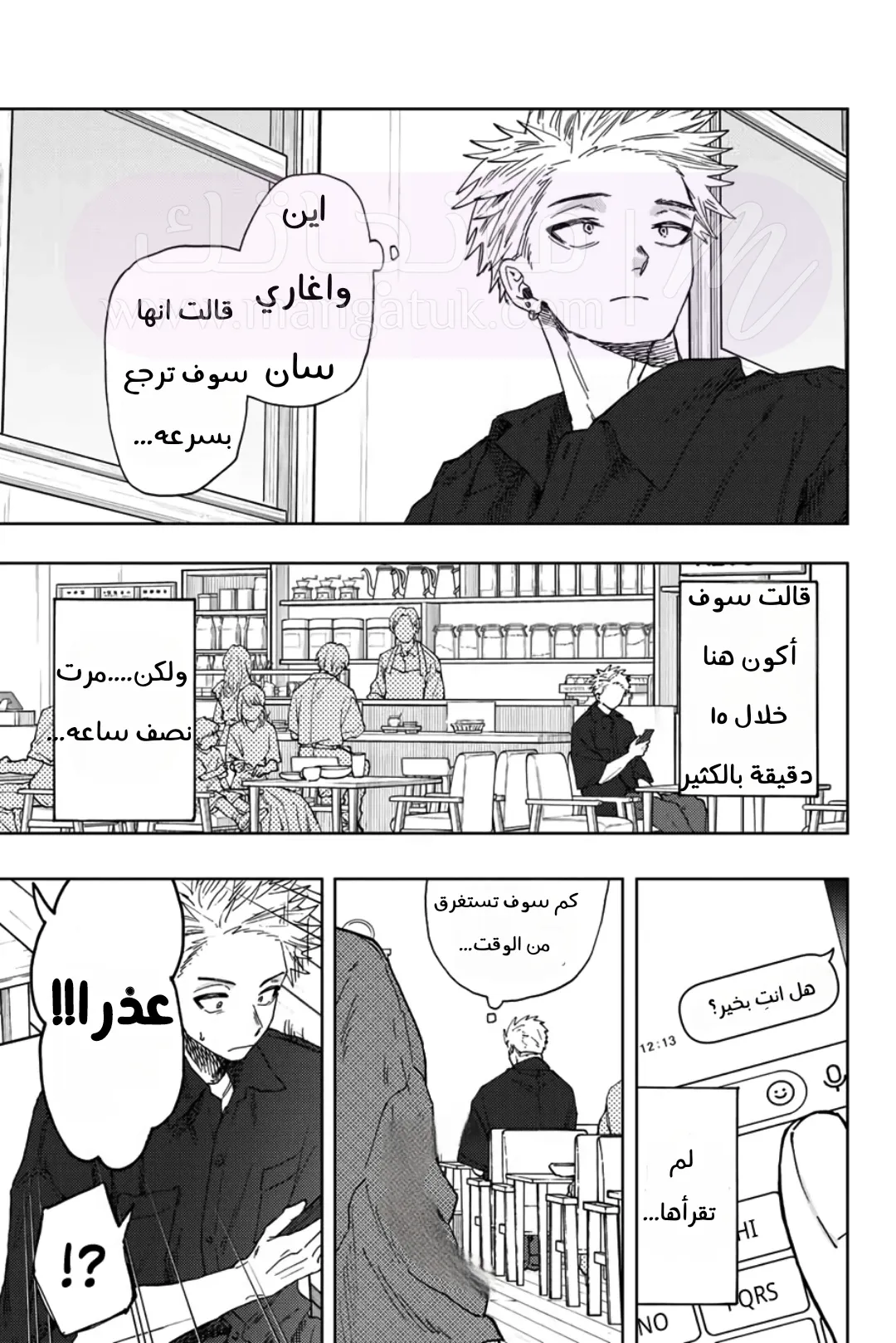 الصفحة 17