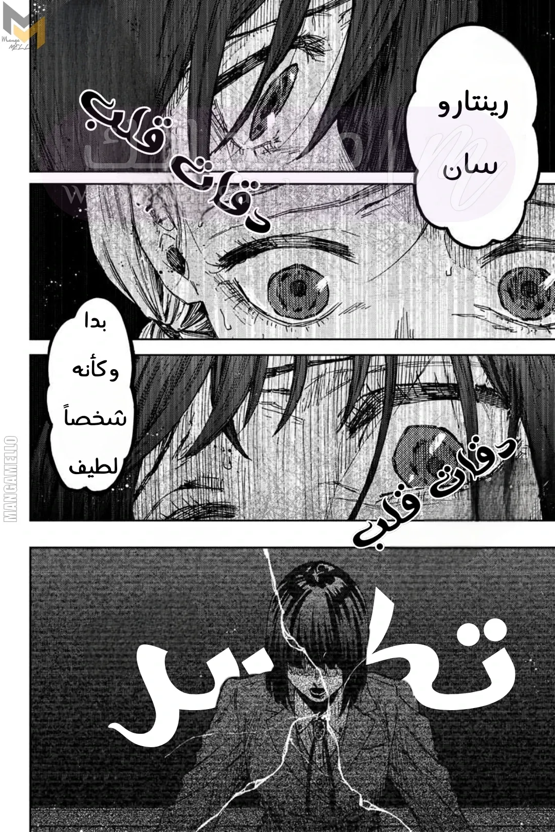 الصفحة 13