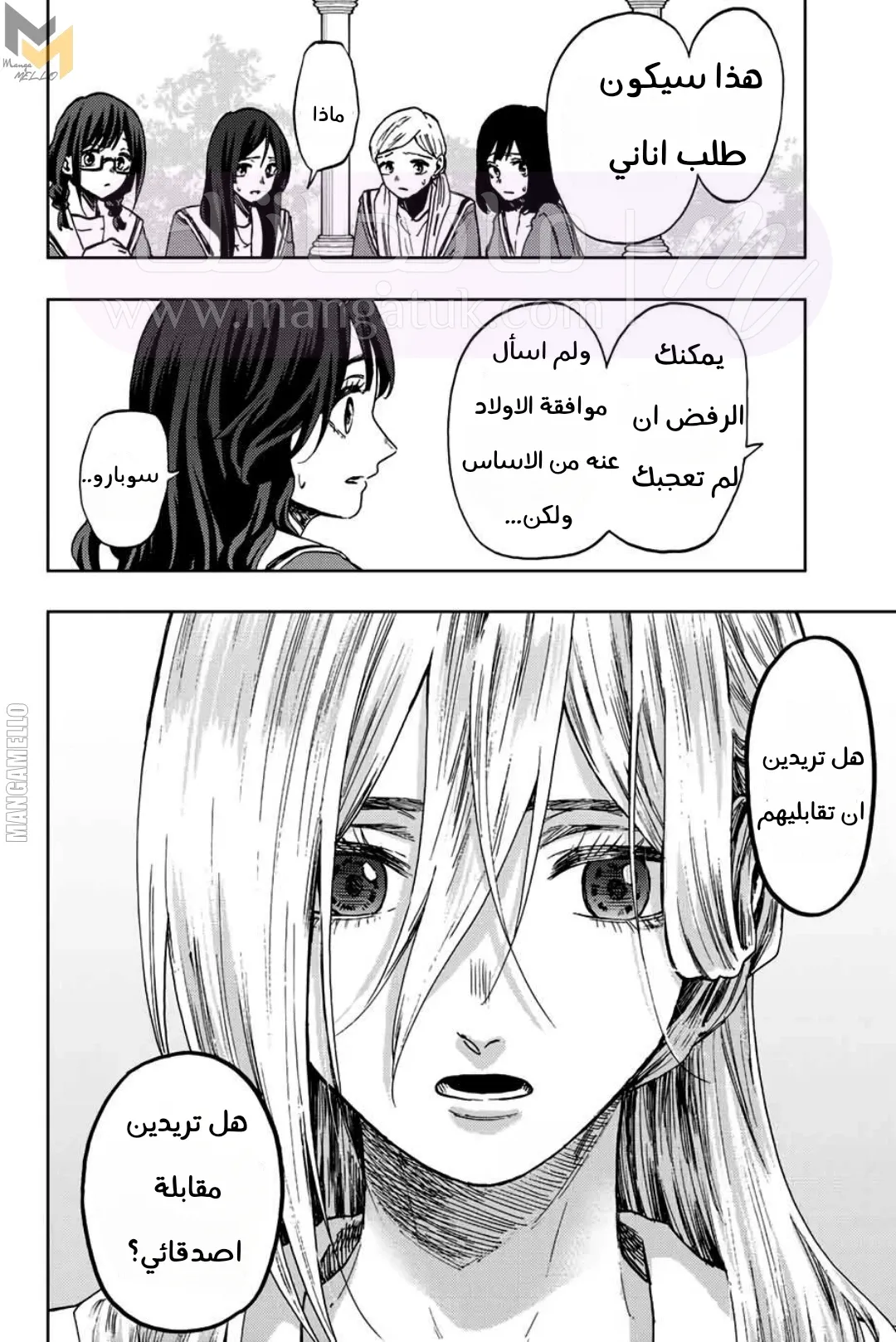 الصفحة 17