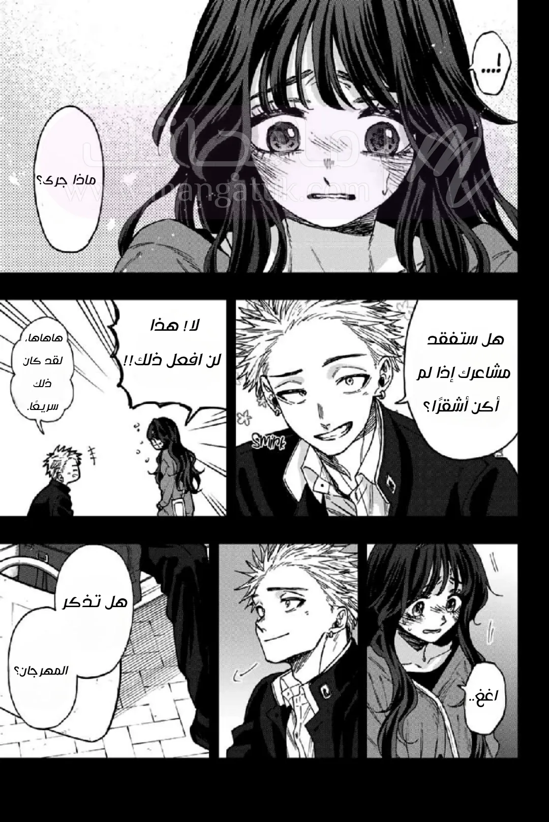الصفحة 17