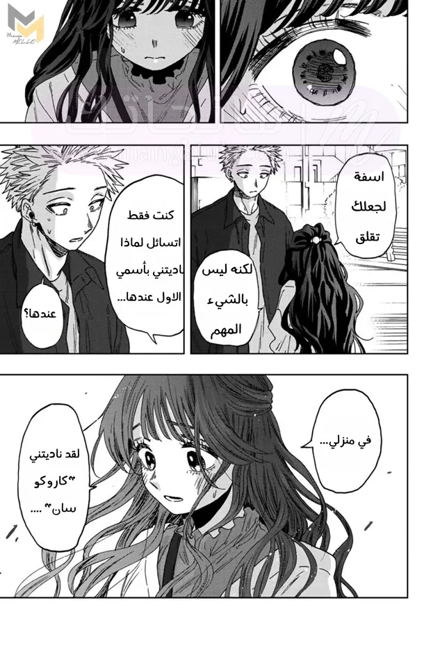 الصفحة 15