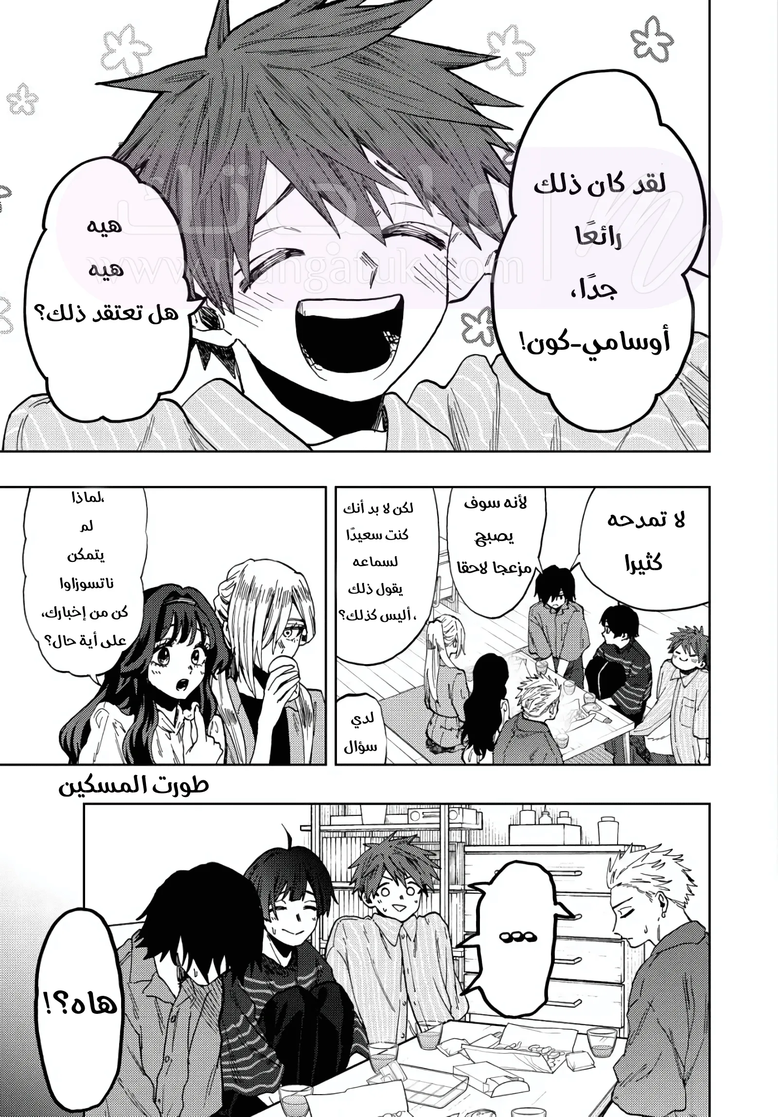 الصفحة 17