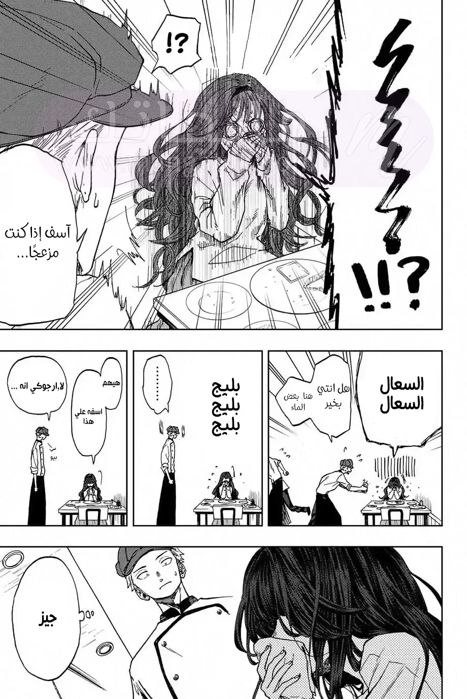 الصفحة 13