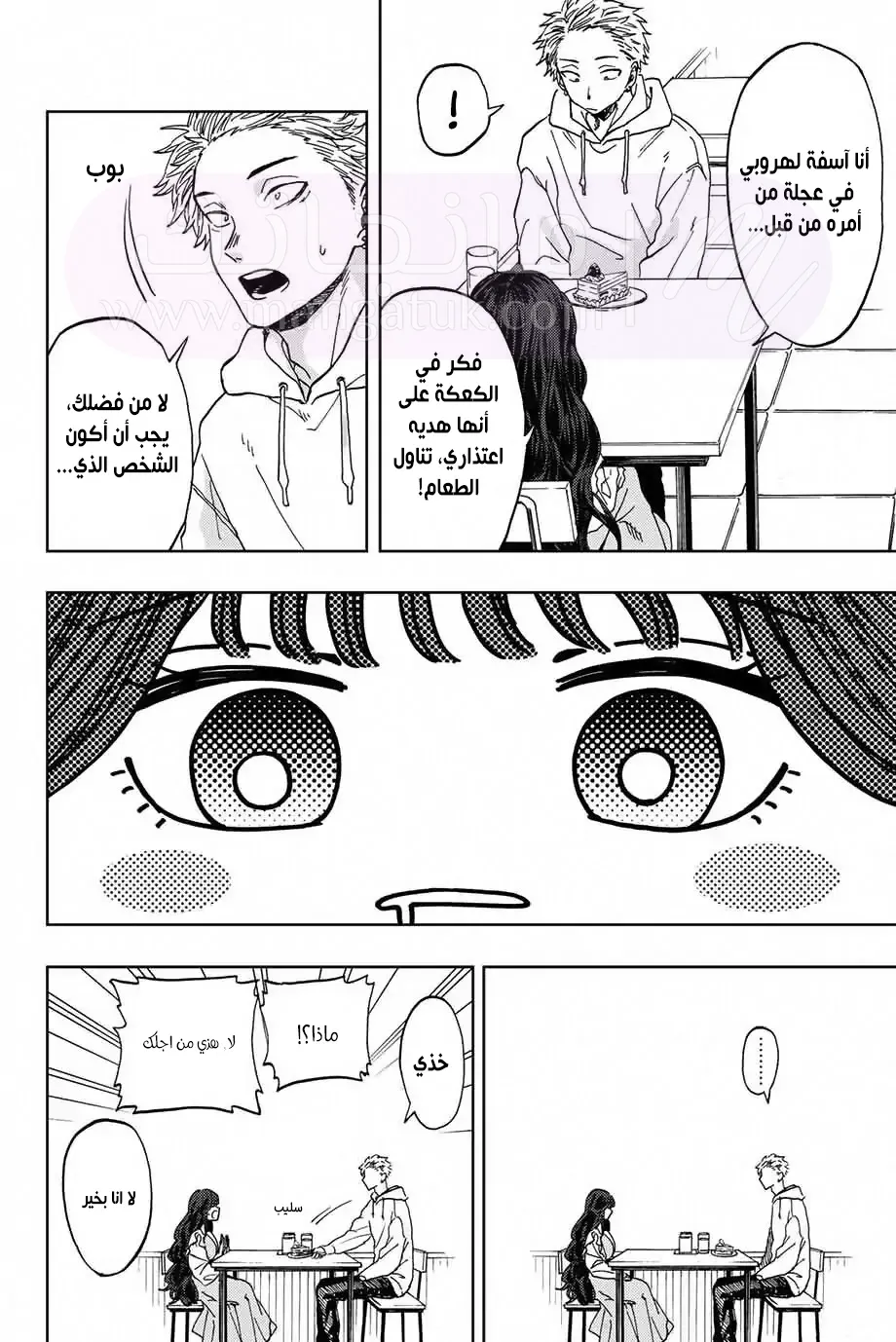 الصفحة 20