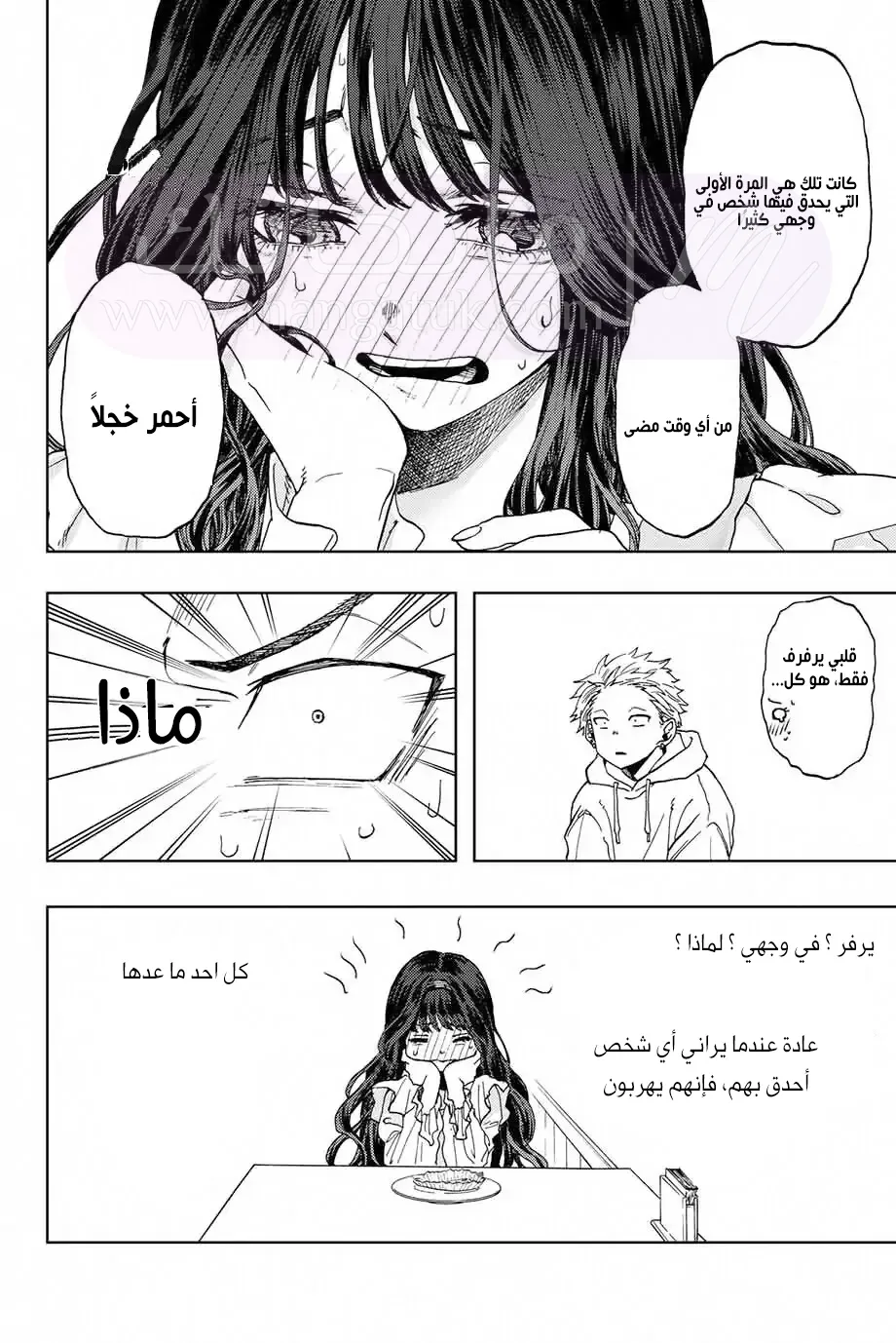 الصفحة 24