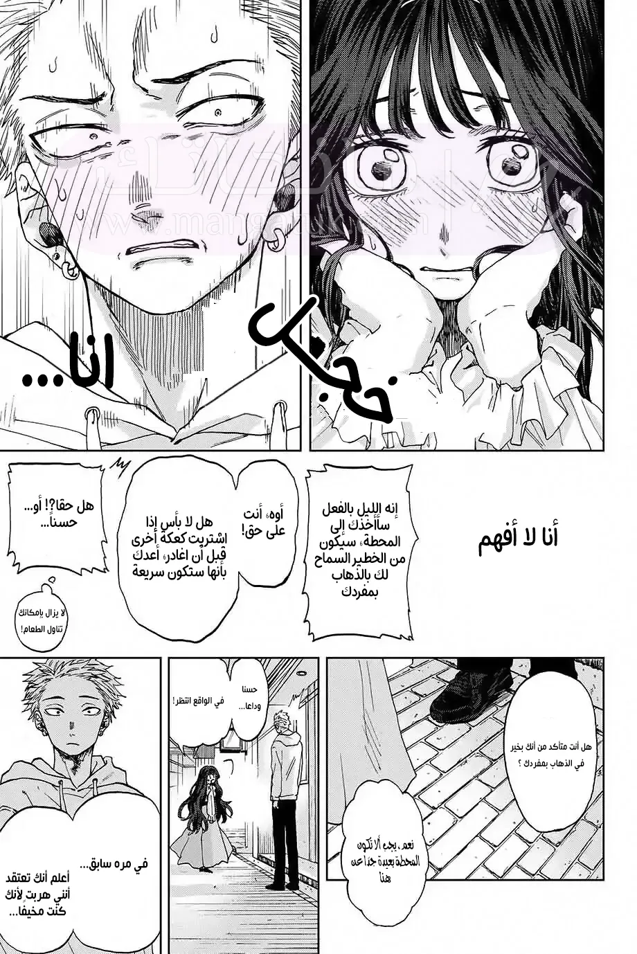 الصفحة 25